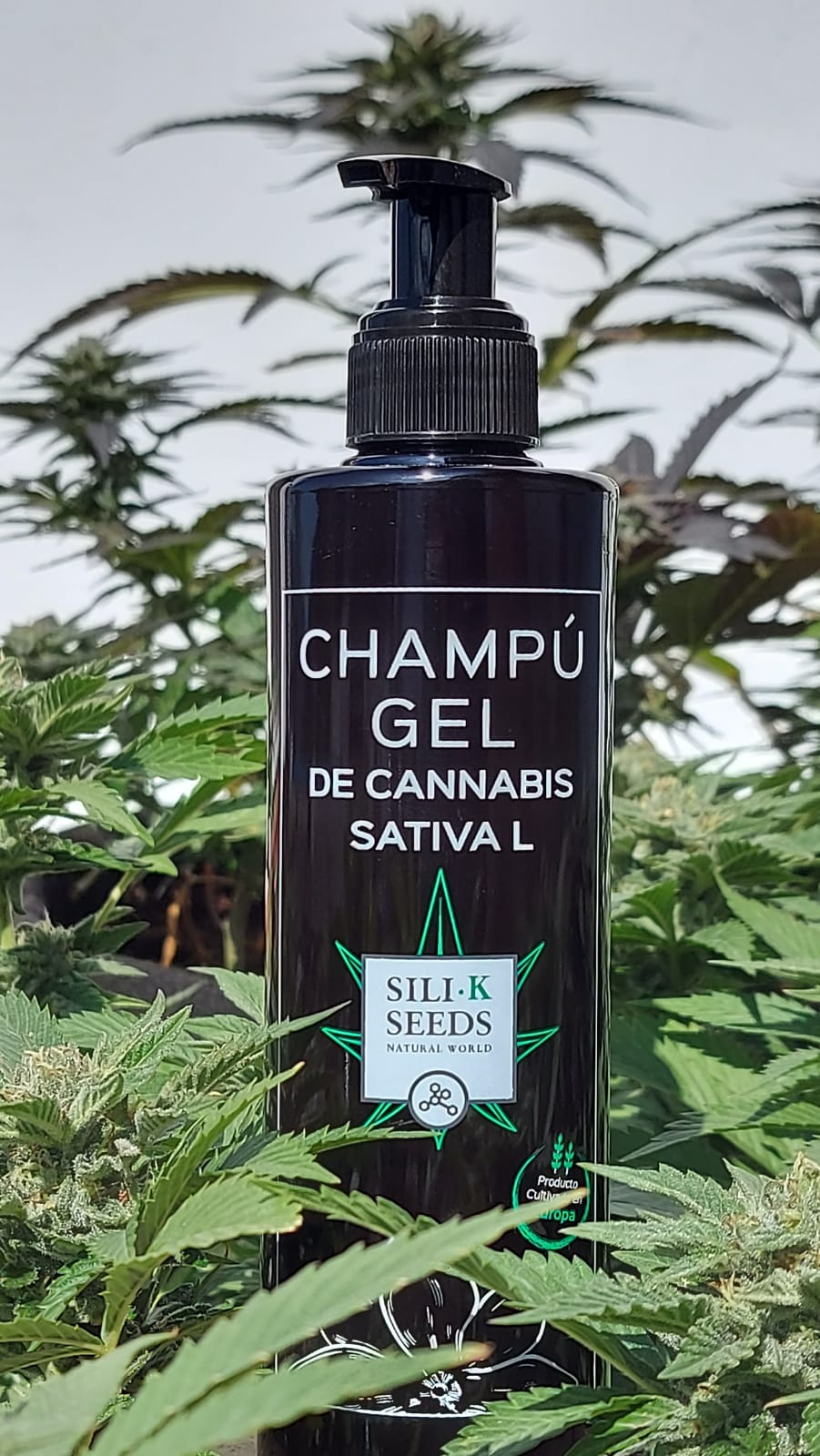 Hemp Shampoo Gel